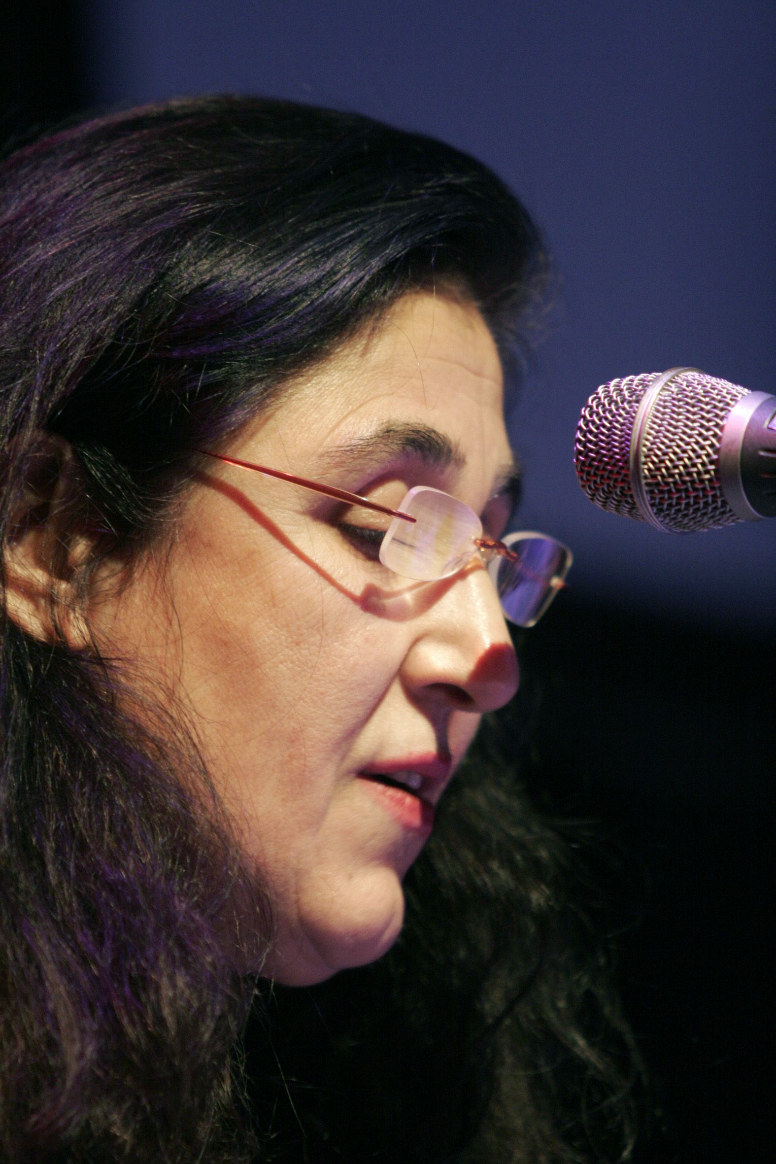 Emine Sevgi Özdamar